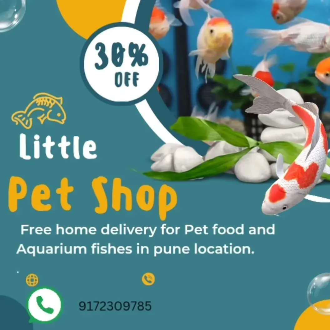 store logo